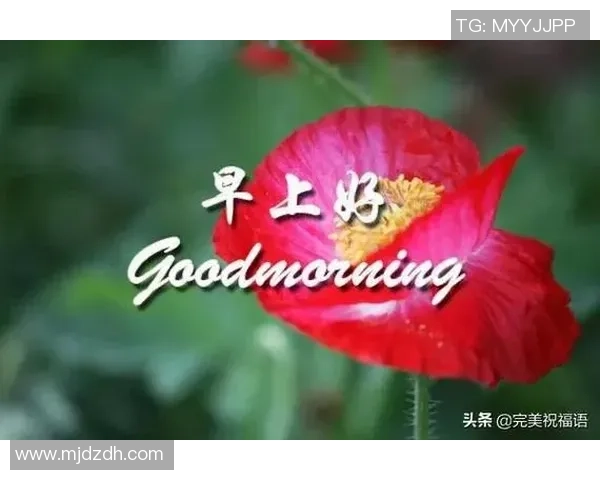 足球巨星生日祝福汇总向偶像致敬的温馨时刻与感人祝福 足球巨星生日祝福汇总向偶像致敬的温馨时刻与感人祝福