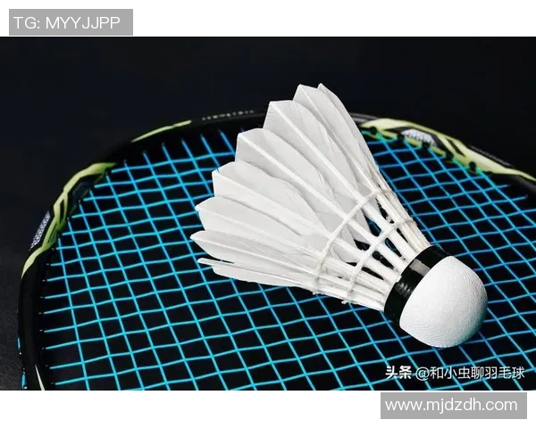 羽毛球巨献：探秘重庆羽毛球队的个人能力_1