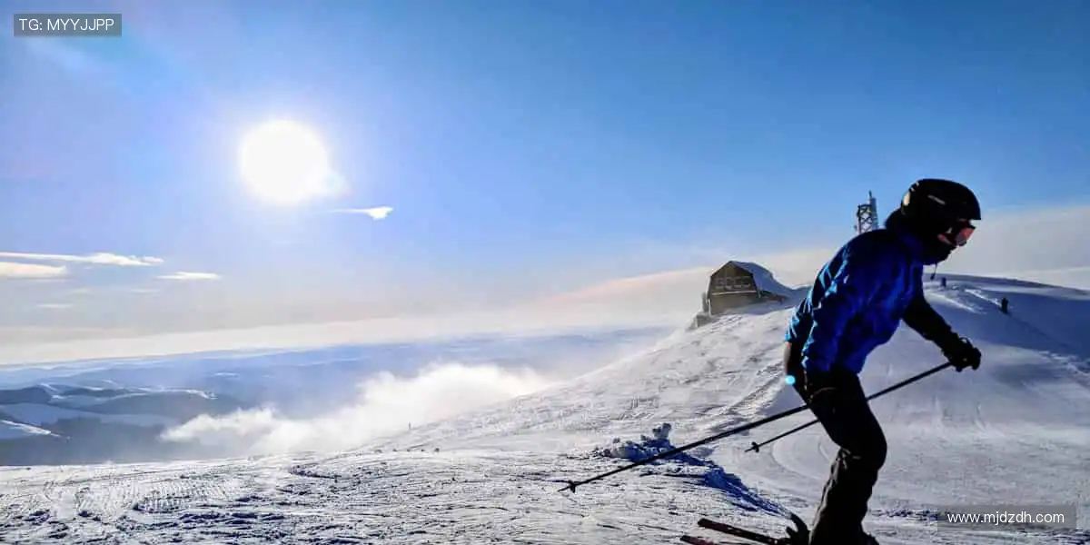 👕 限量周边,穿上它,你就是赛场最靓的崽!
