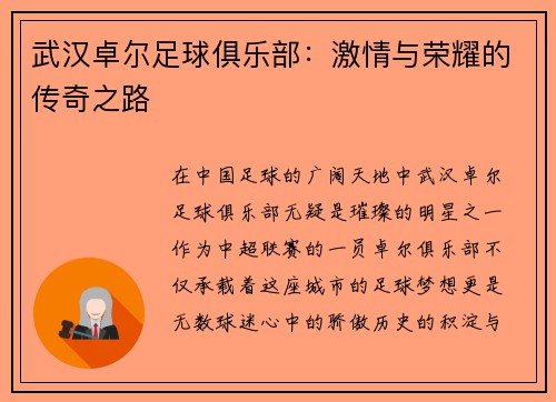 武汉卓尔足球俱乐部：激情与荣耀的传奇之路