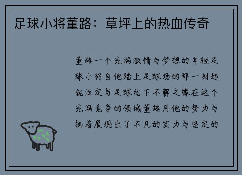 足球小将董路：草坪上的热血传奇