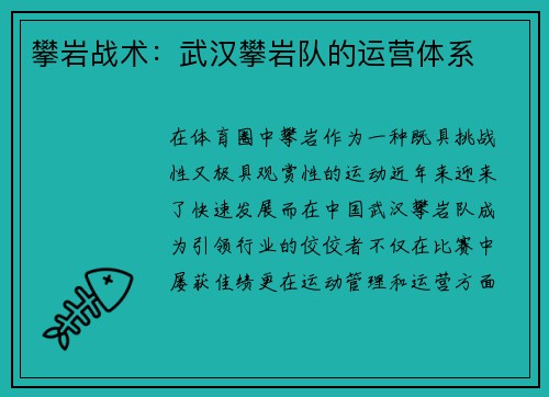 攀岩战术：武汉攀岩队的运营体系