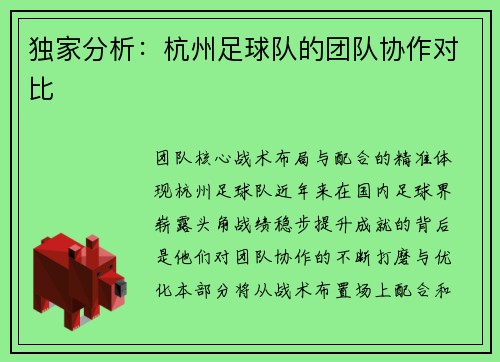 独家分析：杭州足球队的团队协作对比