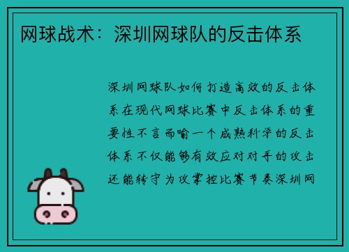 网球战术：深圳网球队的反击体系